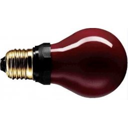 Doka lamp rood (donkerkamerlamp) 15W, E27, 230V          1st