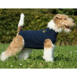 MPS medical pet suit (met plasgaatje)