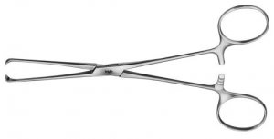 Boys-allis intestinal grasping Forceps 5x6 Teeth 155mm EA010