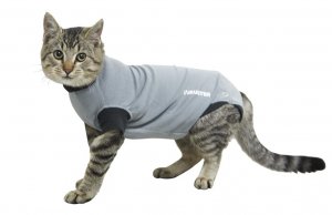 Bodysuit BUSTER katten (met plasgaatje)