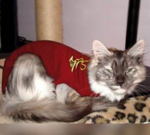 Medical Pet Shirt rood kat XXS                           1st