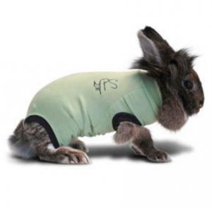 Medical Pet Shirt groen konijn S(2.1 - 3.5 kg)