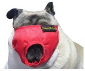 Muilband BUSTER Vet Nylon voor brachycephale dog, L      1st