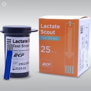 Lactate Scout sport 25 lactaatstrips        25st