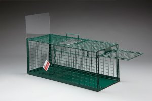 Kattenval Eezicatch cat trap geslote bodem 78Lx30Bx31Hcm
